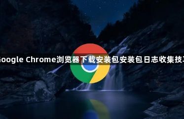 Google Chrome浏览器下载安装包安装包日志收集技巧1