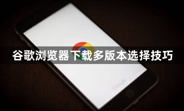 谷歌浏览器下载多版本选择技巧1
