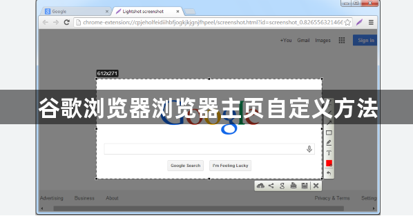 谷歌浏览器浏览器主页自定义方法1