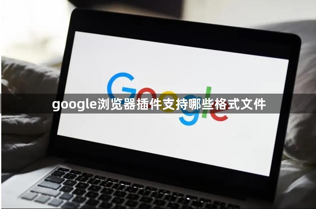 google浏览器插件支持哪些格式文件1