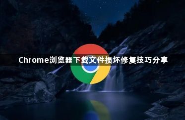 Chrome浏览器下载文件损坏修复技巧分享1