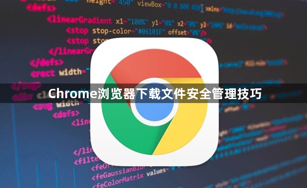 Chrome浏览器下载文件安全管理技巧1