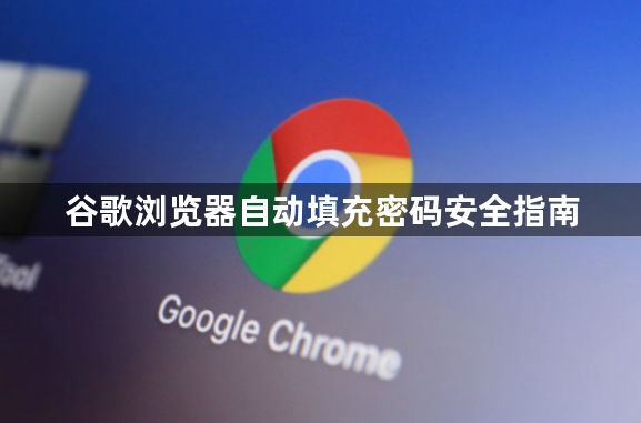 谷歌浏览器自动填充密码安全指南1