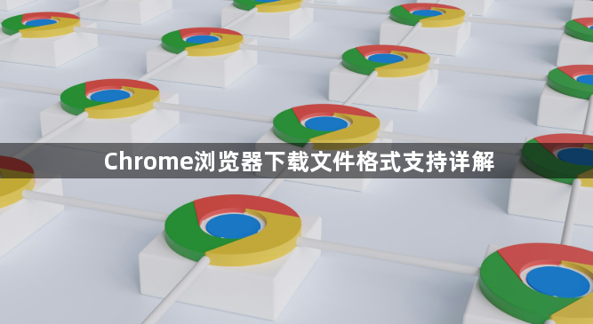 Chrome浏览器下载文件格式支持详解1