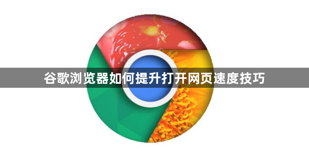 谷歌浏览器如何提升打开网页速度技巧1