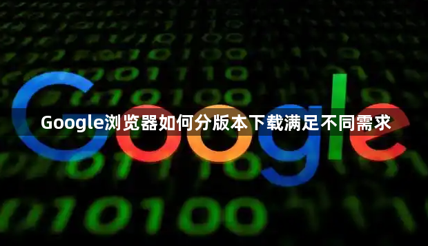 Google浏览器如何分版本下载满足不同需求1