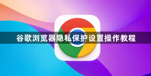 谷歌浏览器隐私保护设置操作教程1