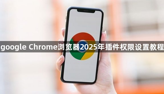 google Chrome浏览器2025年插件权限设置教程1
