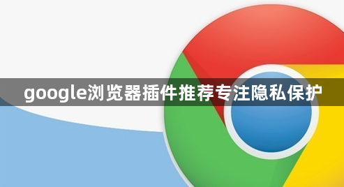 google浏览器插件推荐专注隐私保护1
