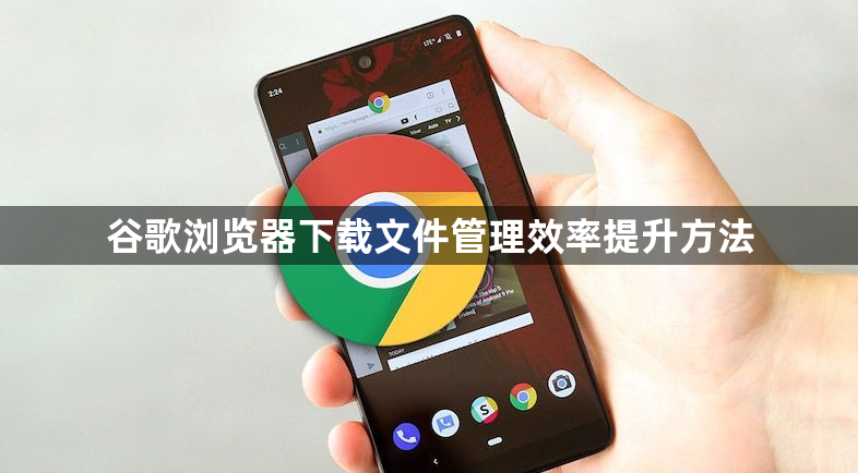 谷歌浏览器下载文件管理效率提升方法1