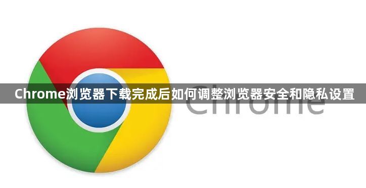 Chrome浏览器下载完成后如何调整浏览器安全和隐私设置1