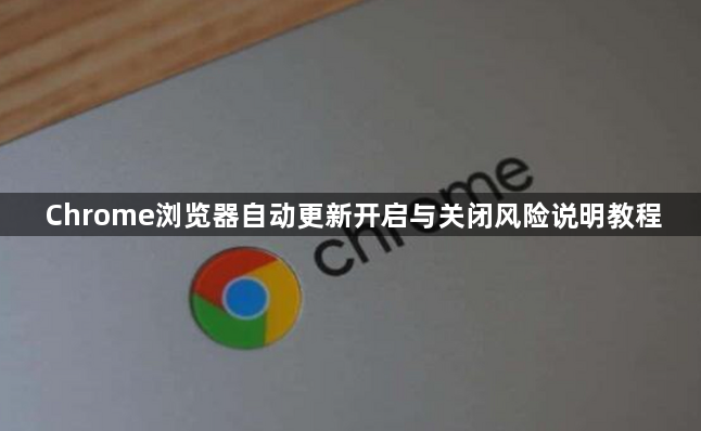 Chrome浏览器自动更新开启与关闭风险说明教程1