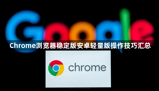 Chrome浏览器稳定版安卓轻量版操作技巧汇总1