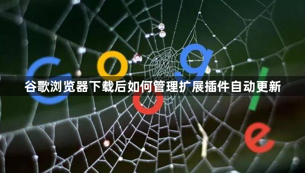 谷歌浏览器下载后如何管理扩展插件自动更新1
