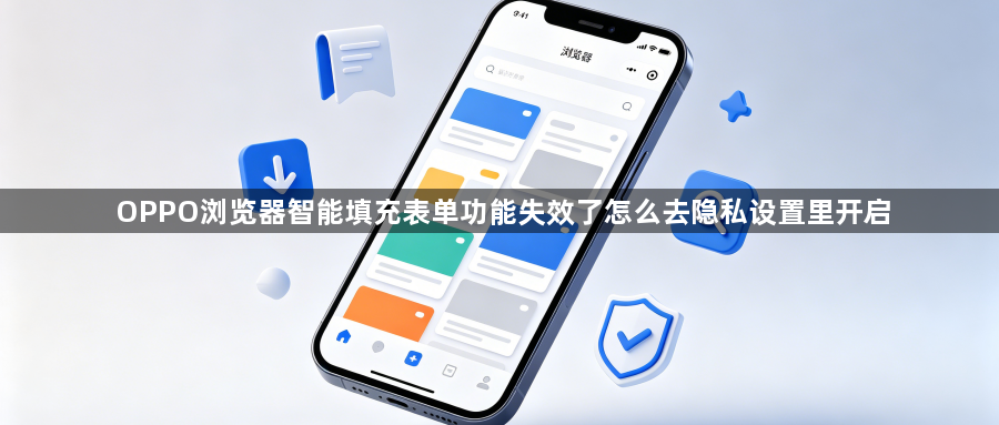OPPO浏览器智能填充表单功能失效了怎么去隐私设置里开启1